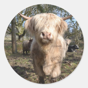 Groot om Schots te worden Ronde Sticker