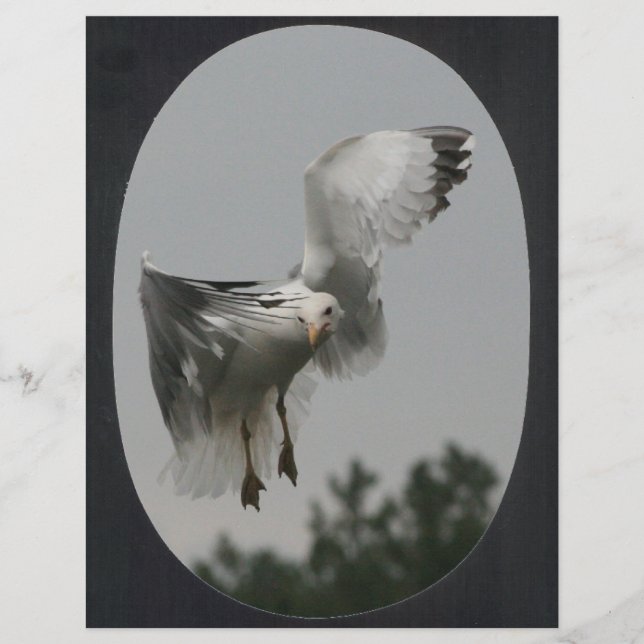 Groot ovaal Lijst (zwart) (Voorkant)