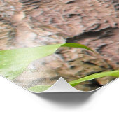 Groot panoramisch horizontaal foto-afdrukuitbreidi foto afdruk (Hoek)