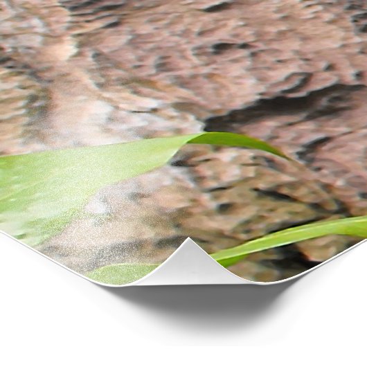 Groot panoramisch horizontaal foto-afdrukuitbreidi foto afdruk (Hoek)