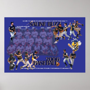 Groot Poster Saline Buzz 2006