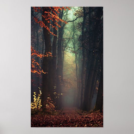 Groot Poster van de Natuur (Voorkant)