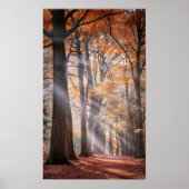 Groot Poster van de Natuur (Voorkant)