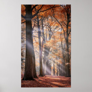 Groot Poster van de Natuur