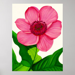 Groot roze annemon met Emerald Green Leaves Poster