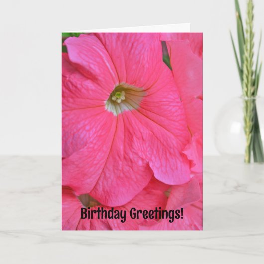 Groot roze petunia bloemen  Kaart (Voorkant)