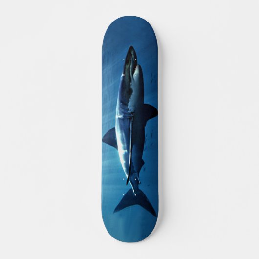 groot skateboard voor witte haai (Voorkant)