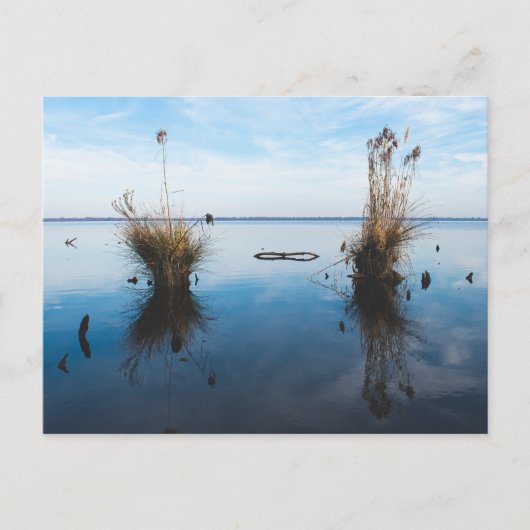 Groot somber moeras briefkaart (Voorkant)