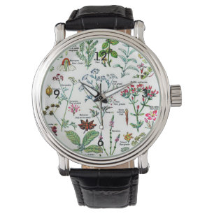 Groot spijsverteringskanaal Planten Horloge