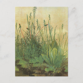 Groot stuk Turf Briefkaart