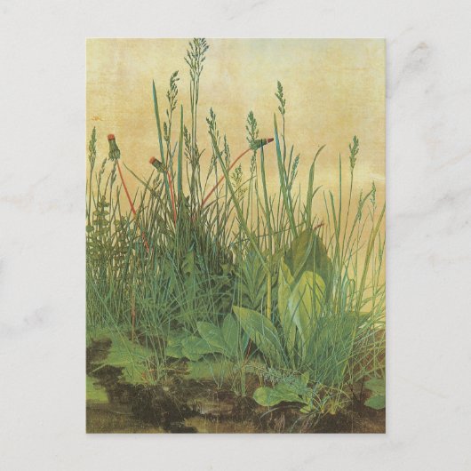 Groot stuk Turf Briefkaart (Voorkant)