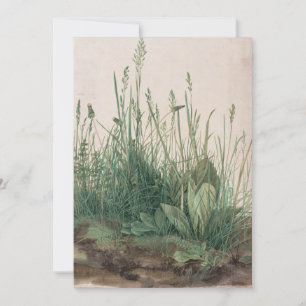 Groot stuk Turf van Albrecht Durer