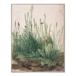 Groot stuk Turf van Albrecht Durer Foto Afdruk