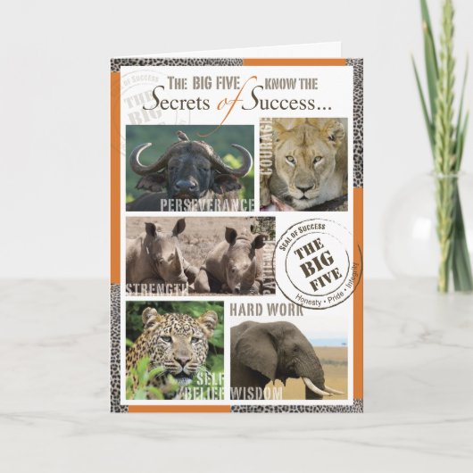 Groot Succes Vijf Kaart (Voorkant)