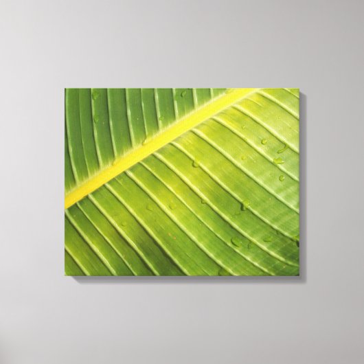 Groot tropisch blad met waterdruppeltjes van Rayad Canvas Afdruk (Voorkant)