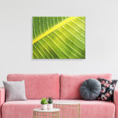 Groot tropisch blad met waterdruppeltjes van Rayad Canvas Afdruk (Insitu (Woonkamer))