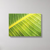 Groot tropisch blad met waterdruppeltjes van Rayad Canvas Afdruk (Voorkant)