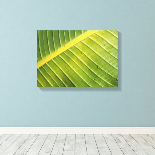 Groot tropisch blad met waterdruppeltjes van Rayad Canvas Afdruk (Insitu (Houten vloer))