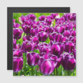 Groot veld met paarse tulpen (Voorkant / Achterkant)