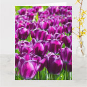 Groot veld met paarse tulpen kaart (Gele Bloem)