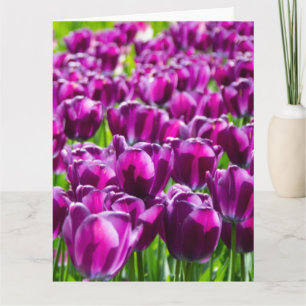 Groot veld met paarse tulpen kaart