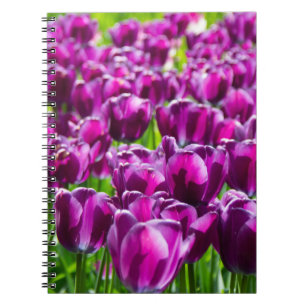 Groot veld met paarse tulpen notitieboek