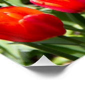 Groot veld met rode tulpen perfect poster (Hoek)