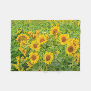 Groot veld met zonnebloemen bij Moses Lake, WA 2 Fleece Deken