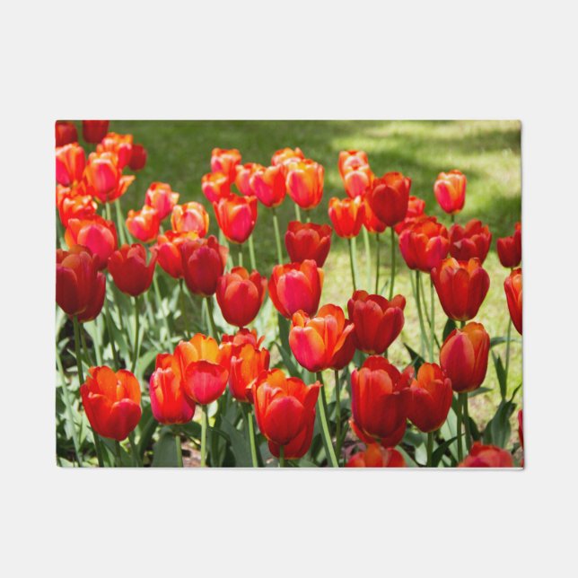 Groot veld rode tulpen deurmat (Voorkant)