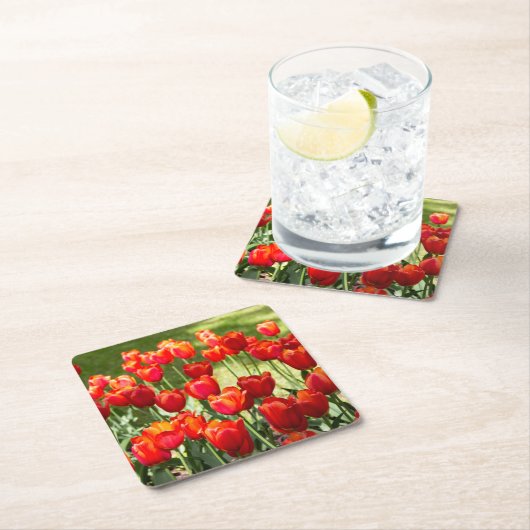Groot veld rode tulpen kartonnen onderzetters (Insitu)
