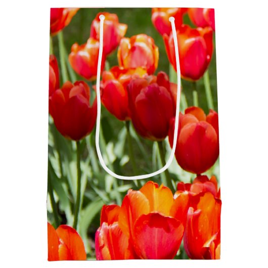 Groot veld rode tulpen medium cadeauzakje (Achterkant)