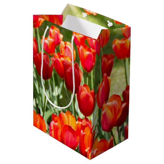 Groot veld rode tulpen medium cadeauzakje (Achterkant Gekanteld)
