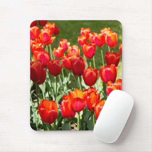 Groot veld rode tulpen muismat (Met muis)