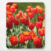 Groot veld rode tulpen muismat (Voorkant)