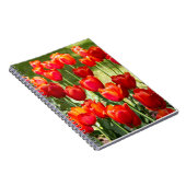 Groot veld rode tulpen notitieboek (Rechterzijde)