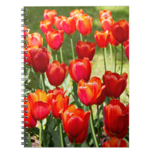 Groot veld rode tulpen notitieboek
