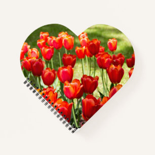 Groot veld rode tulpen notitieboek