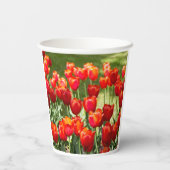 Groot veld rode tulpen papieren bekers (Achterkant)