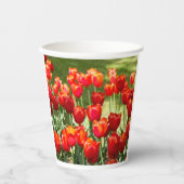 Groot veld rode tulpen papieren bekers (Voorkant)