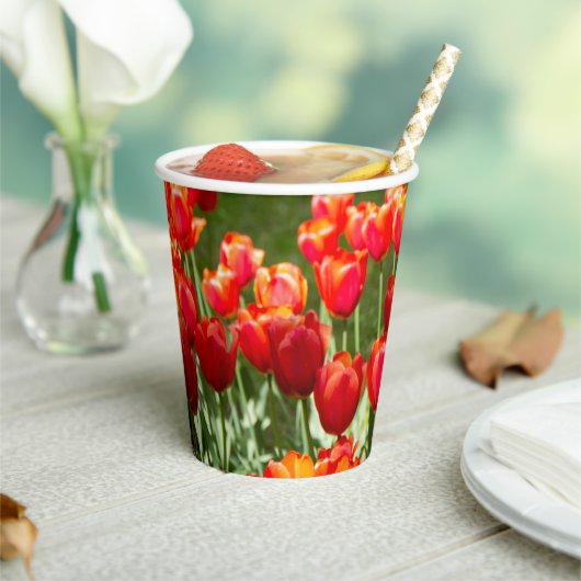 Groot veld rode tulpen papieren bekers (Insitu)