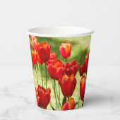 Groot veld rode tulpen papieren bekers (Achterkant)