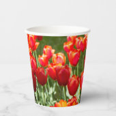 Groot veld rode tulpen papieren bekers (Voorkant)