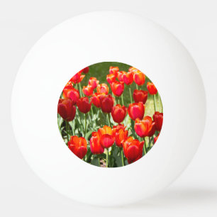 Groot veld rode tulpen pingpongbal