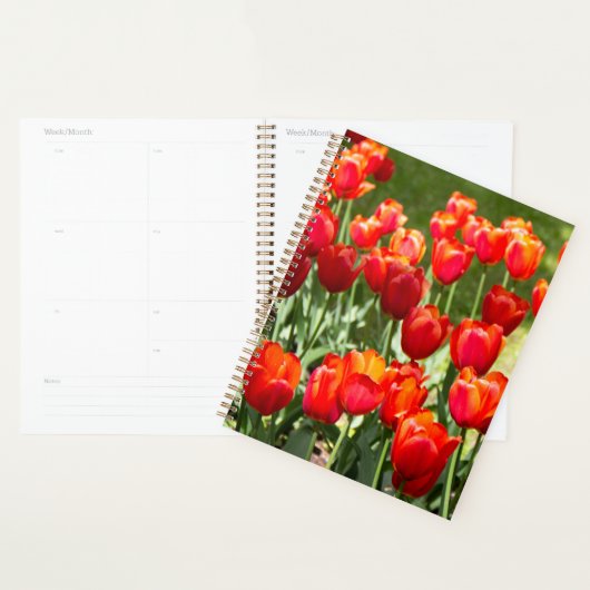 Groot veld rode tulpen planner (Display)