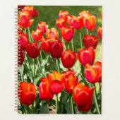 Groot veld rode tulpen planner (Voorkant)