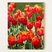 Groot veld rode tulpen planner (Achterkant)