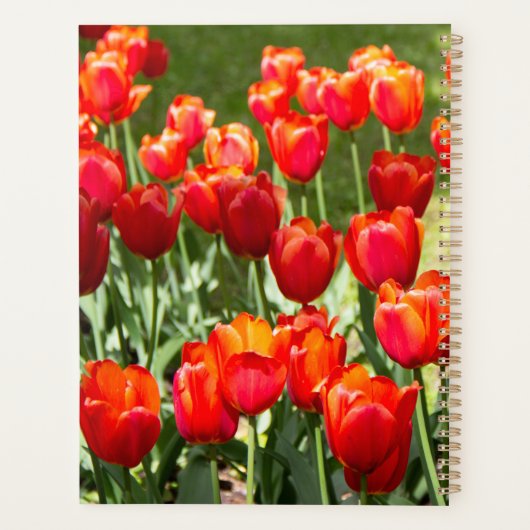 Groot veld rode tulpen planner (Achterkant)