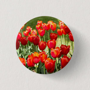 Groot veld rode tulpen ronde button 3,2 cm