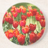 Groot veld rode tulpen zandsteen onderzetter (Voorkant)