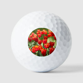 Groot veld rode tulpenpuin golfballen